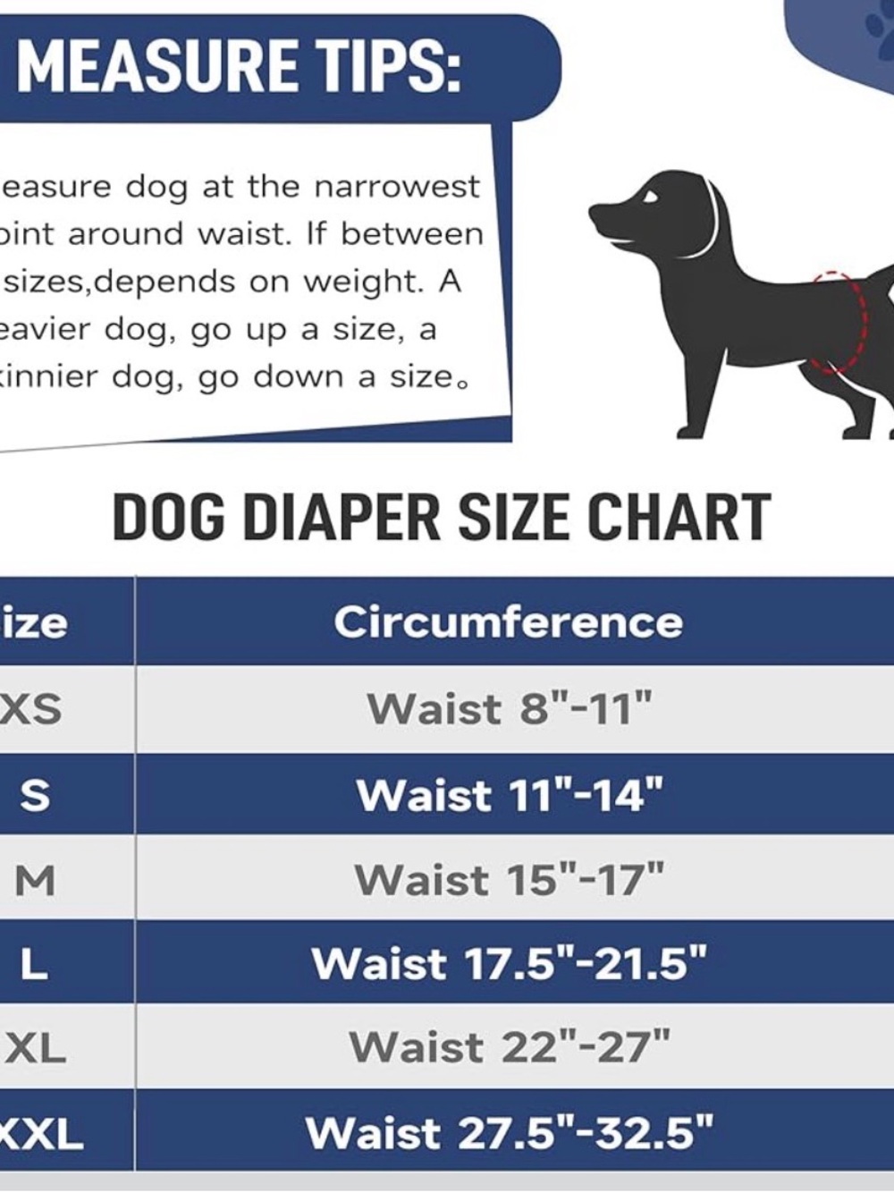 Tuiskusa Male Dog Diapers, High Absorbing Dog Belly Bands for Male Dogs, Medium - Picture 3 of 5